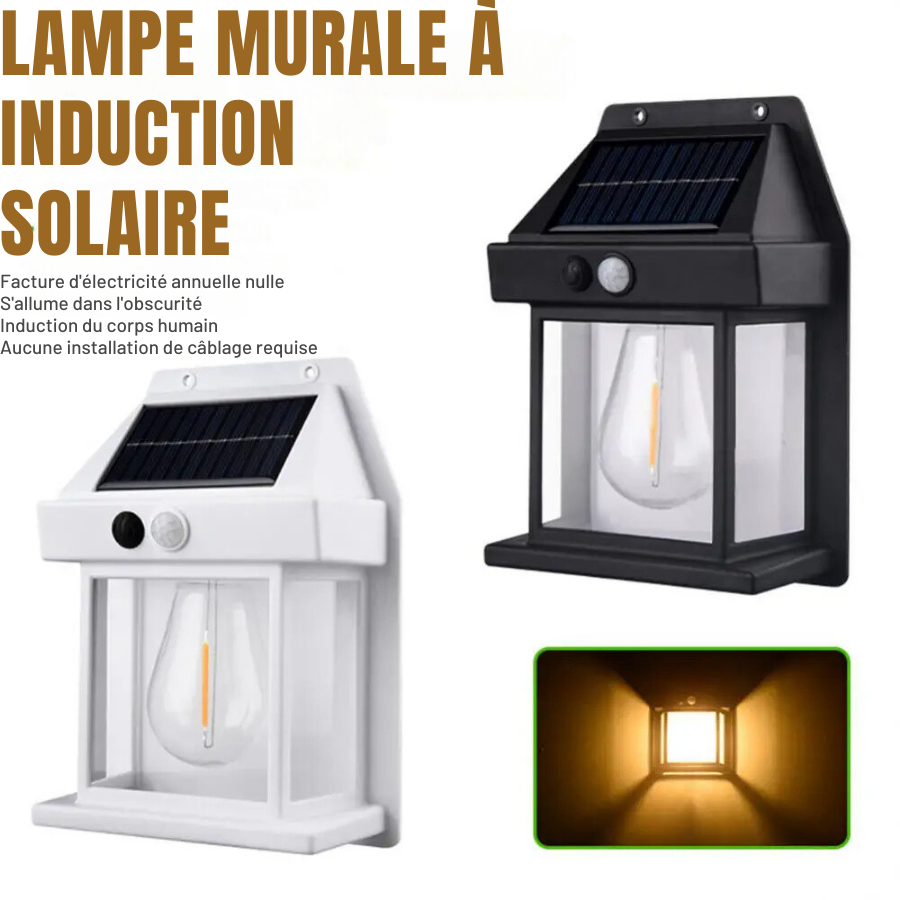 LAMPE SOLAIRE AVEC DÉTECTEUR DE MOUVEMENT ET ÉTANCHE [Offre spéciale : Payez 3 et recevez 4, uniquement aujourd'hui]