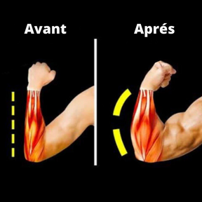 ForceFlax - Équipement pour avant-bras [MOITIÉ PRIX - TEMPS LIMITÉ]