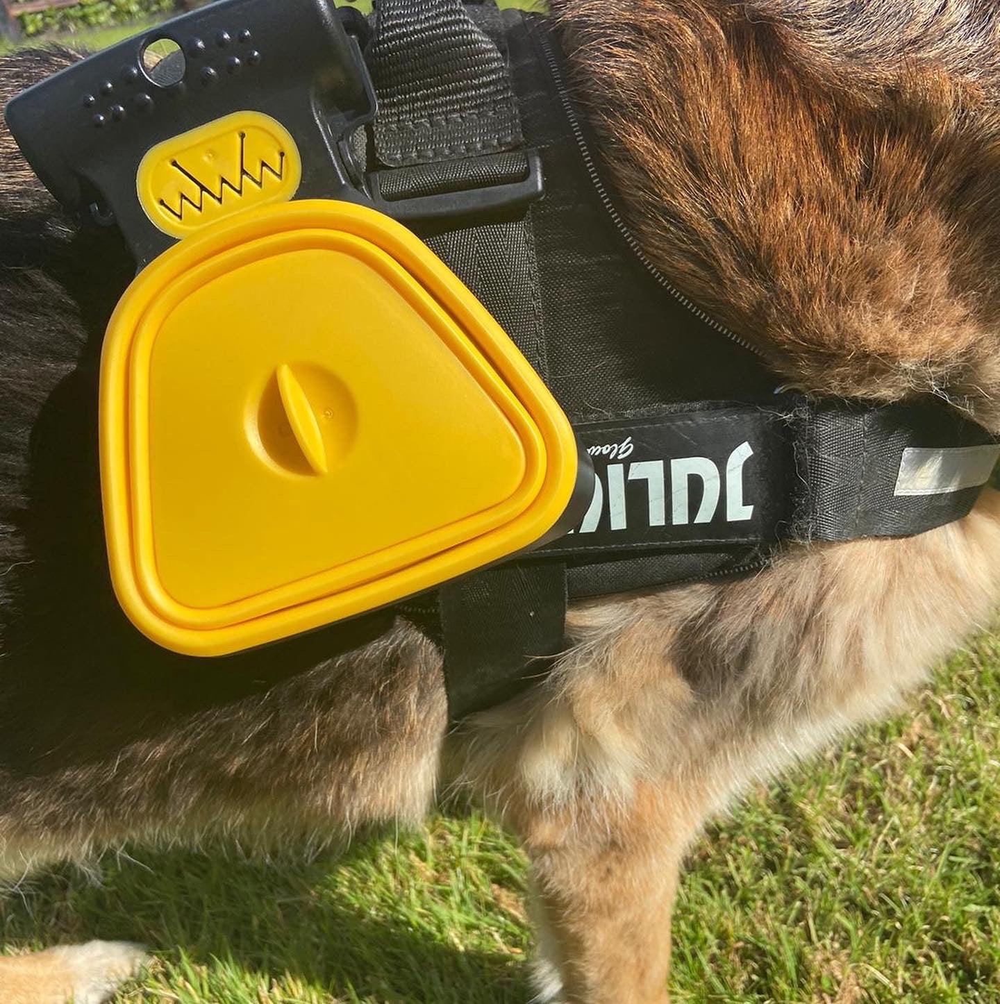 Dog Scooper - Ramasse-Crottes pour Chien [En achetant aujourd'hui, vous recevez gratuitement 5 rouleaux de sacs hygiéniques]