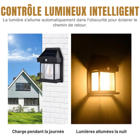 LAMPE SOLAIRE AVEC DÉTECTEUR DE MOUVEMENT ET ÉTANCHE [Offre spéciale : Payez 3 et recevez 4, uniquement aujourd'hui]