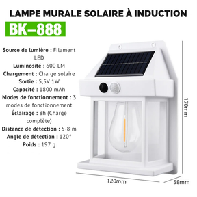 LAMPE SOLAIRE AVEC DÉTECTEUR DE MOUVEMENT ET ÉTANCHE [Offre spéciale : Payez 3 et recevez 4, uniquement aujourd'hui]