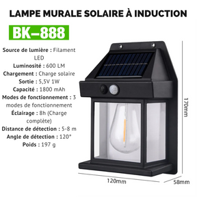 LAMPE SOLAIRE AVEC DÉTECTEUR DE MOUVEMENT ET ÉTANCHE [Offre spéciale : Payez 3 et recevez 4, uniquement aujourd'hui]