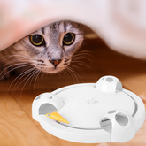 Jouet souris animée pour chat