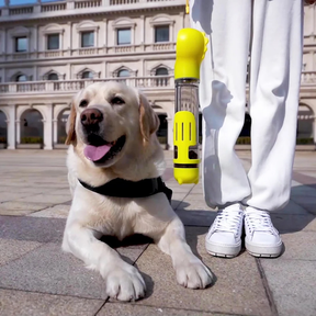 Bouteille et Distributeur de Nourriture pour Animaux - Votre Animal Sans Faim et Sans Soif