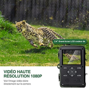 Caméra de Piste de Chasse avec Vision Nocturne infrarouge - Vision Nocturne Animaux HD