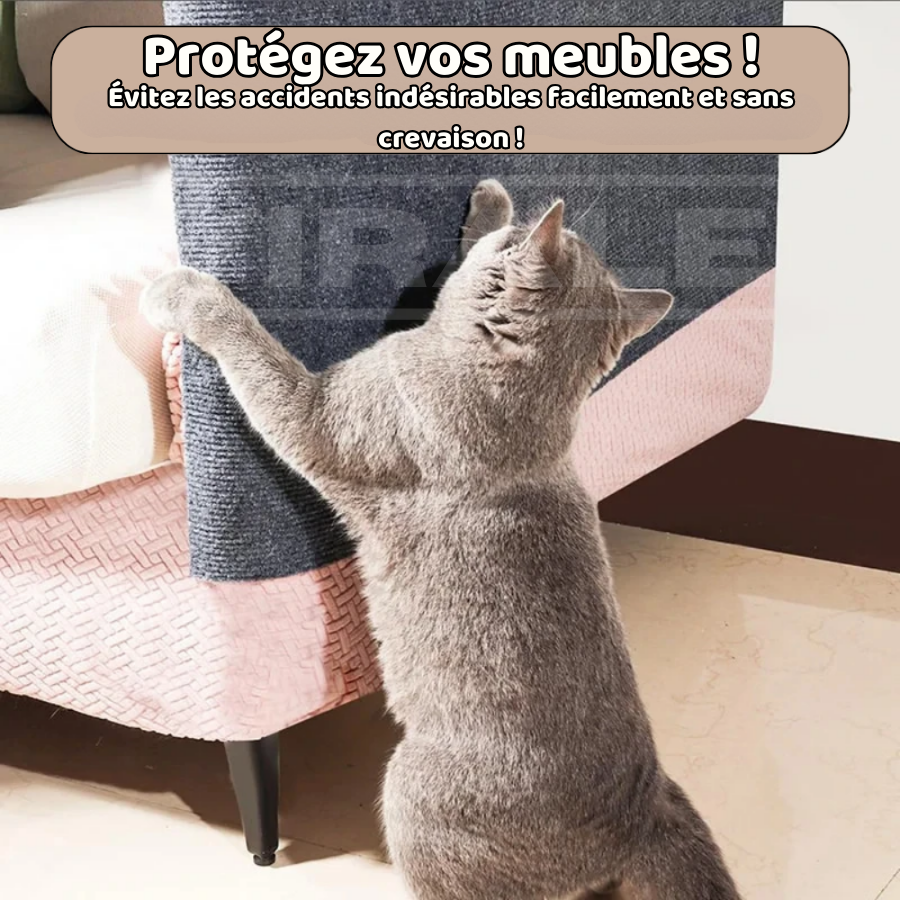 ACHETEZ 2 OBTENEZ 4 - Griffoir pour Chats en Tapis Adhésif Catz | Protecteur de Meubles et de Canapés - Protégez ou Renouvelez Votre Canapé en Quelques Secondes