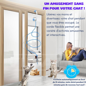 Jouet Interactif Rechargeable pour Chats CatAlive - Accrochez à Votre Porte, Appuyez sur un Bouton et Rendez Votre Chat Plus Heureux ! [LANCEMENT PROMOTIONNEL 50% DE RÉDUCTION POUR UNE DURÉE LIMITÉE]