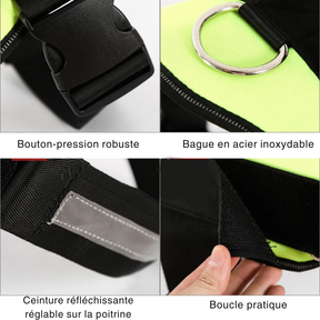 Collier de Chien Personnalisé - Inscrivez le Nom de Votre Chien et Votre Numéro de Téléphone