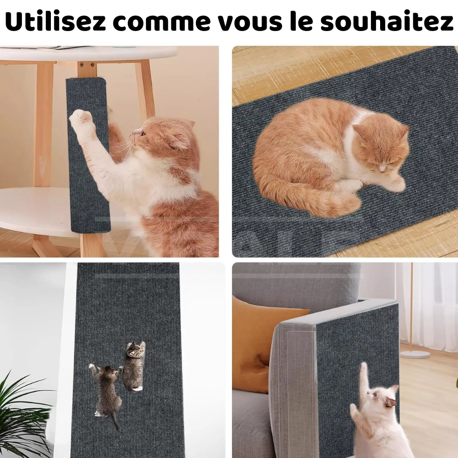 ACHETEZ 2 OBTENEZ 4 - Griffoir pour Chats en Tapis Adhésif Catz | Protecteur de Meubles et de Canapés - Protégez ou Renouvelez Votre Canapé en Quelques Secondes