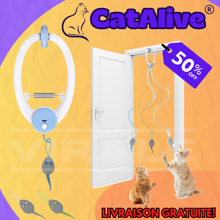 Jouet Interactif Rechargeable pour Chats CatAlive - Accrochez à Votre Porte, Appuyez sur un Bouton et Rendez Votre Chat Plus Heureux ! [LANCEMENT PROMOTIONNEL 50% DE RÉDUCTION POUR UNE DURÉE LIMITÉE]