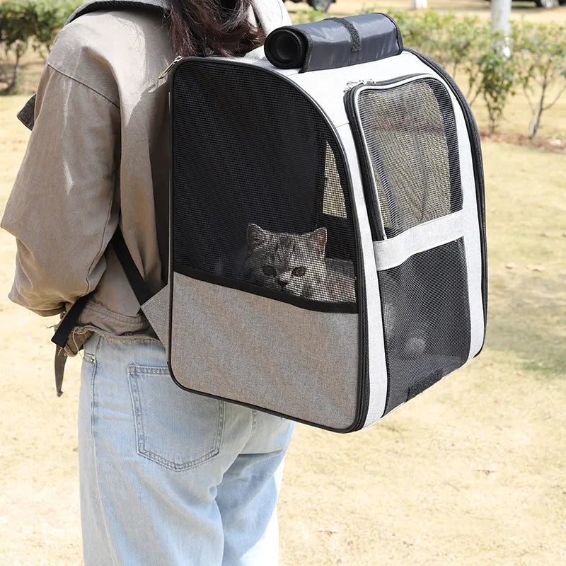 Sac à Dos Transport Chats - Respirant, Portable et Pliable