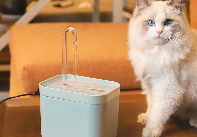 Fontaine à Eau pour Chats - Distributeur Automatique Ultra Silencieux Sans Fil