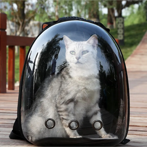 Sac à Dos de Transport pour Chats - Sac à Dos Bulles pour Animaux - Respirant, Portable et transparent