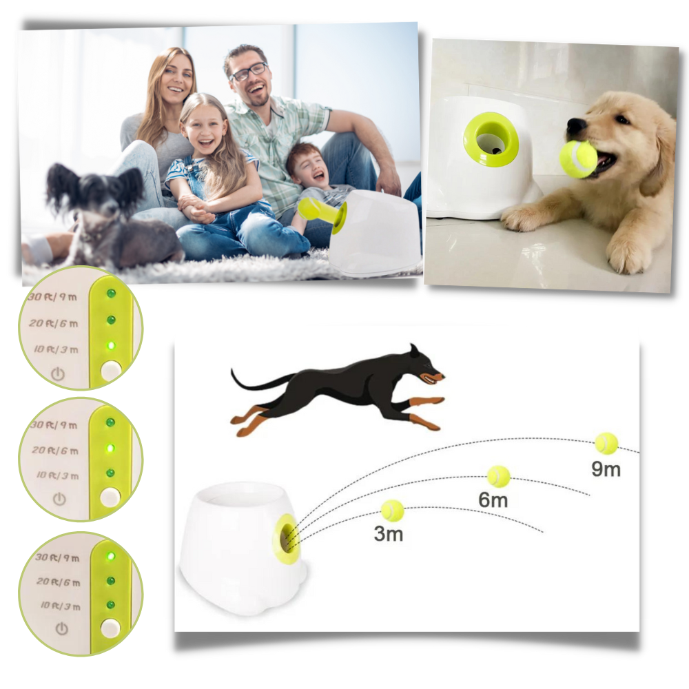 Lanceur de balles automatique  pour chiens