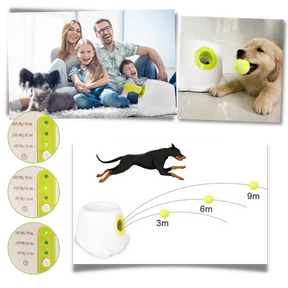 Lanceur de balles automatique  pour chiens