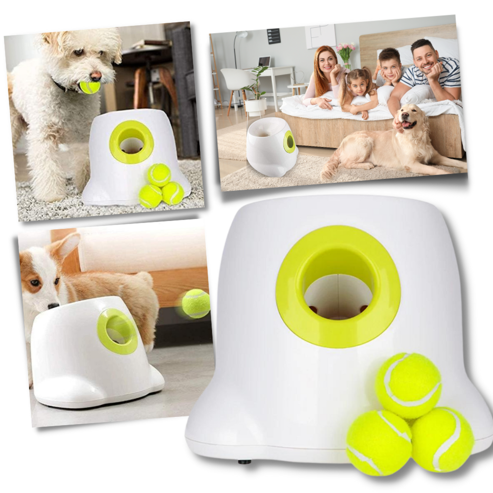 Lanceur de balles automatique  pour chiens