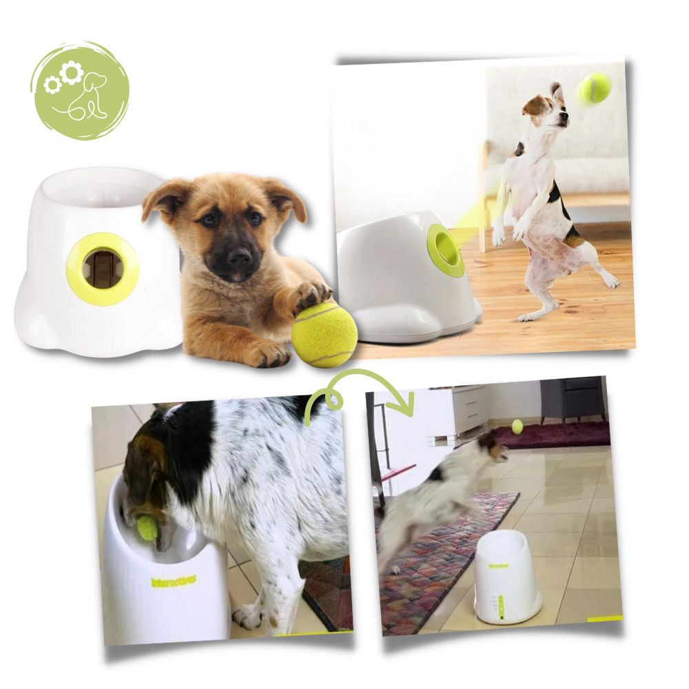 Lanceur de balles automatique  pour chiens