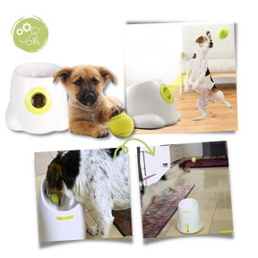 Lanceur de balles automatique  pour chiens