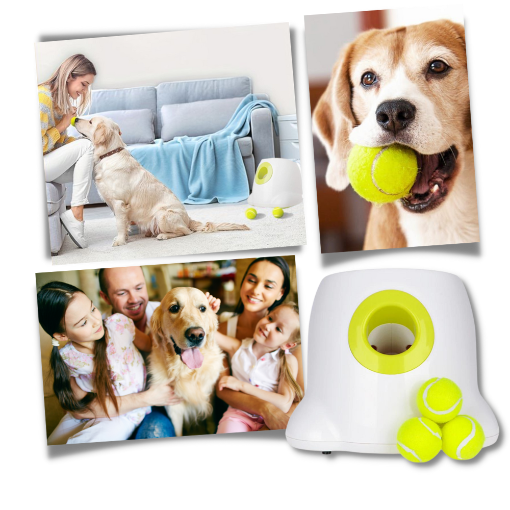 Lanceur de balles automatique  pour chiens