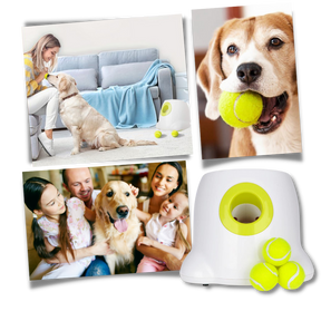 Lanceur de balles automatique  pour chiens