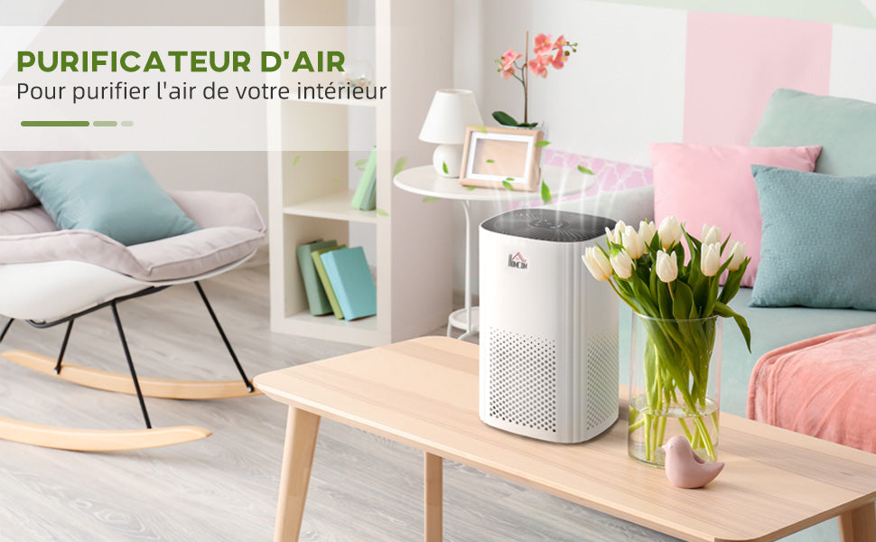 Purificateur d'Air Intérieur Portable avec Filtre - Sensation de fraicheur